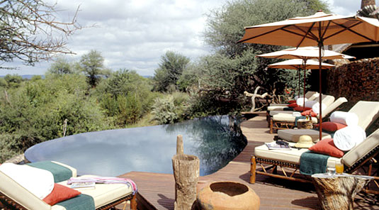 Makanyane Safari Lodge - Madikwe Game Reserve - Main Lodge Swimming Pool